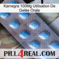 Kamagra 100Mg Utilisation De Gelée Orale viagra3